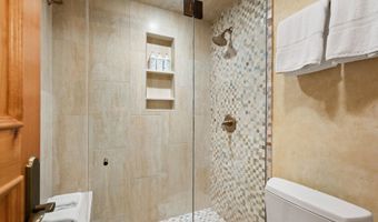 610 S West End St D105, Aspen, CO 81611