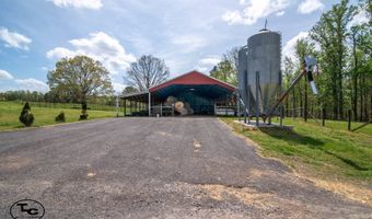 2665 Mt. Carmel Rd, Altoona, AL 35952