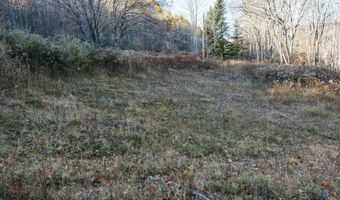 1361 Weaver Hollow Rd, Andes, NY 13731