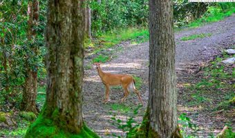 TBD Rock Ridge Lane, Banner Elk, NC 28604