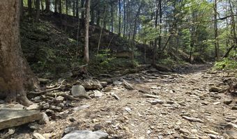 Hale Ridge Road, Beattyville, KY 41311