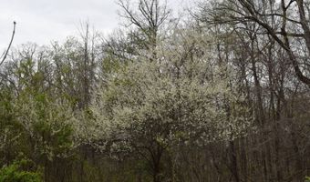 6280 N Terry Rd, Austin, IN 47102