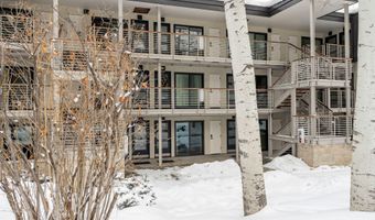 100 E DEAN St 1D, Aspen, CO 81611