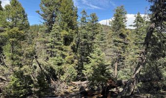 El Vado Way lot 1662, Angel Fire, NM 87710