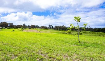 54-1749 PAIPO KANE Rd, Kapaau, HI 96755