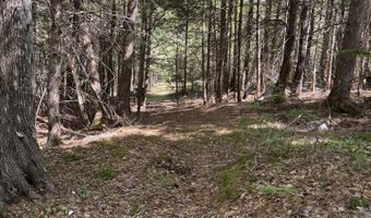 Route 9 lot 13, Aurora, ME 04428
