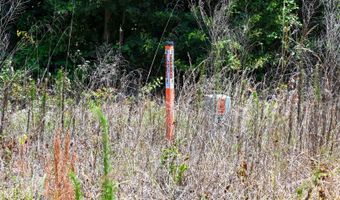 Rooks Road, Atkinson, NC 28421
