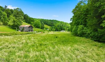 16037 Knights Bridge Rd, Abingdon, VA 24210