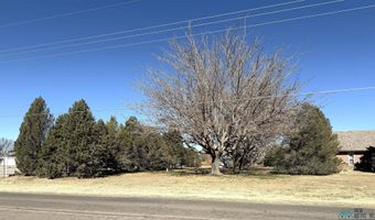 1012 W Castleberry Rd, Artesia, NM 88210