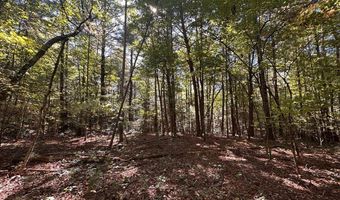 18 6 Acres Cave Branch Rd, Allardt, TN 38504