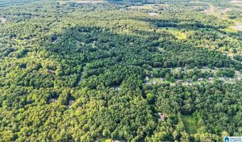 113 WINDWOOD Cir, Alabaster, AL 35007