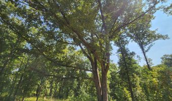 Barnacre Road, Batesville, MS 38606