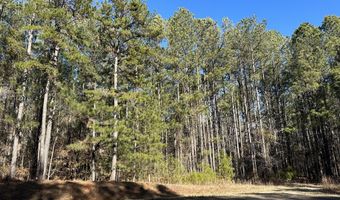 Lot 37 PETERSBURG Trace, Lincolnton, GA 30817