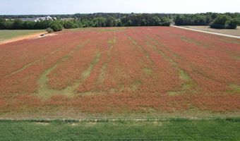 2 Rogers Ln, Bennettsville, SC 29512