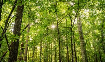 3024 Us-84, Brookhaven, MS 39601