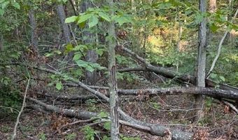 Tract 2 Dunaway Road, Beattyville, KY 41311