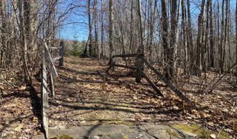 L21.1 Alder Pond Road, Andes, NY 13740