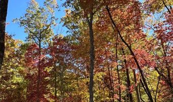 24 Cahill Dr 24, Andrews, NC 28901