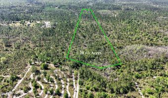 4360 NW Miller Rd, Altha, FL 32421