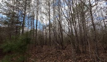 Saint John Road, Braxton, MS 39044