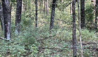 Parcel 18th Avenue, Arkdale, WI 54613