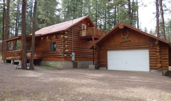 30 County Road 2066, Alpine, AZ 85920