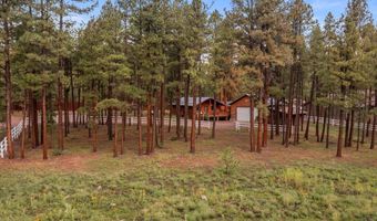 11 Whitetail Rd, Alpine, AZ 85920