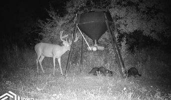 560 Th Ave, Albia, IA 52531