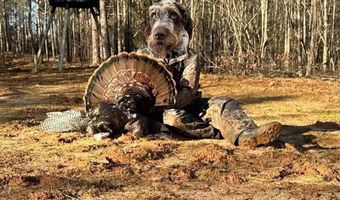 Pleasant Hill Road, Ashland, MS 38603