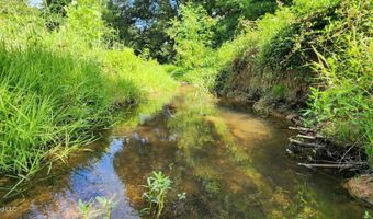 3350 SE Mount Pleasant Ln, Bogue Chitto, MS 39629