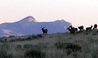 Broken Trail N, Belfry, MT 59008