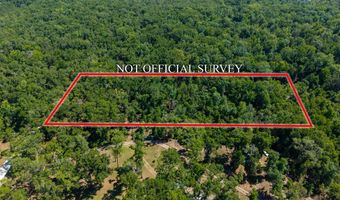 4509 NW 63rd Ter, Bell, FL 32619