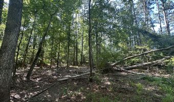 Lot 3a Elberton Highway, Lincolnton, GA 30817