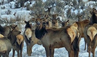 95 Mill Draw Overlook, Belfry, MT 59008