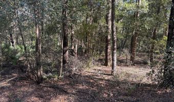 NE 123RD CT, Archer, FL 32618