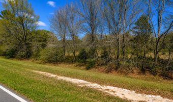 25 69 ACRES Gaissert Rd, Albany, GA 31705