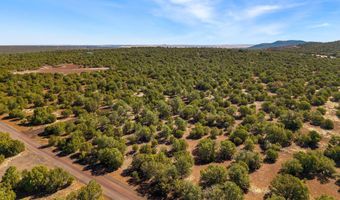 28 CR N8623, Concho, AZ 85924