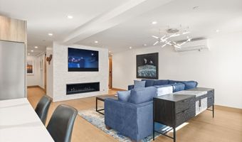 447 E Cooper Ave 1, Aspen, CO 81611