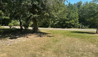 189 Presley Place Dr, Abbeville, AL 36310