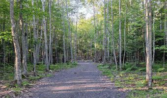 17975 Bear Lk, Hancock, MI 49930