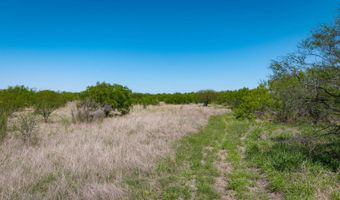 FM 735, Alice, TX 78332