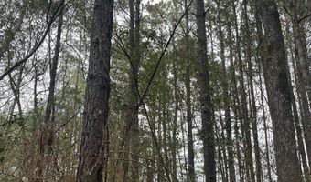 Wilburn Taylor Road, Buckatunna, MS 39322