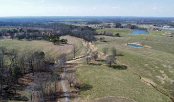 2665 Mt. Carmel Rd, Altoona, AL 35952