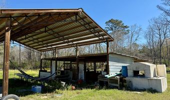 955 S County Road 33, Ashford, AL 36312