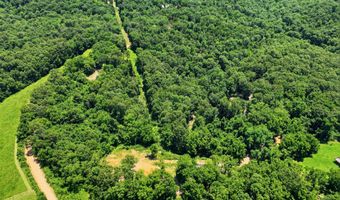 989 Schlessman Rd, Anderson, MO 64831