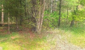 Parcel 2 Lakeshore Road, Applegate, MI 48401