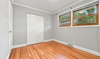 1113 S Haddow Ave, Arlington Heights, IL 60005