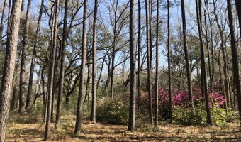 3908- A Chisolm Rd, Johns Island, SC 29455