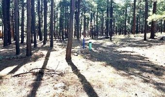 6 County Rd N2127, Alpine, AZ 85920
