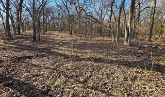 Lot 221 Banjo Court, Alvord, TX 76225
